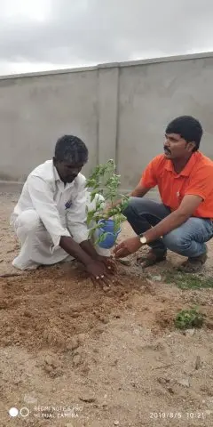Tree Plantation 2019 – Hyderabad