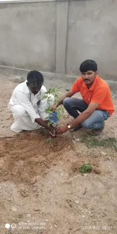 Tree Plantation 2019 – Hyderabad