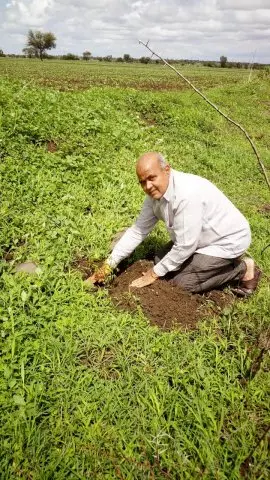 Tree Plantation 2019 – Hyderabad