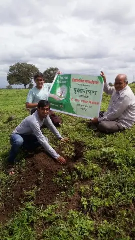 Tree Plantation 2019 – Hyderabad