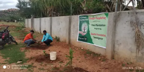 Tree Plantation 2019 – Hyderabad