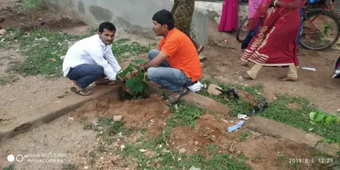 Tree Plantation 2019 – Hyderabad