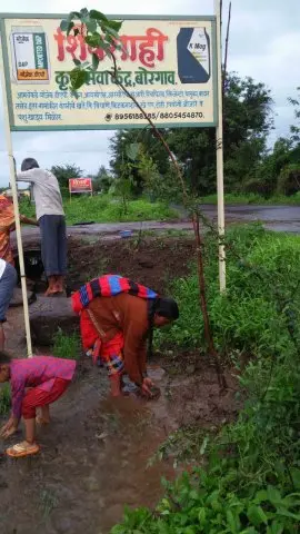 Tree Plantation 2019 – Hyderabad