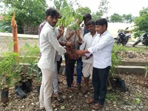 Tree Plantation 2019 – Hyderabad