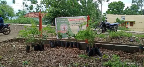 Tree Plantation 2019 – Hyderabad