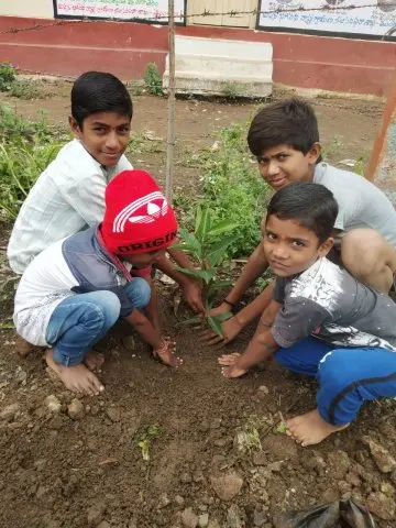 Tree Plantation 2019 – Hyderabad