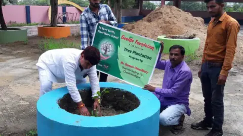 Tree Plantation 2019 – Indore
