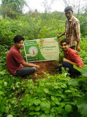 Tree Plantation 2019 – Indore