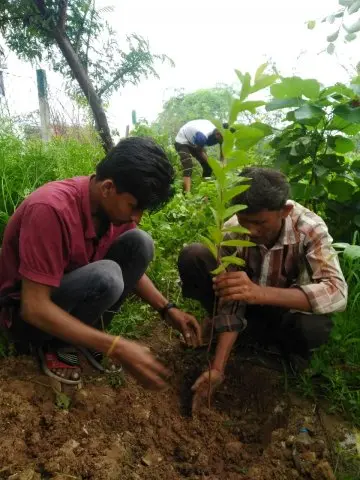 Tree Plantation 2019 – Indore