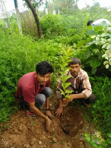 Tree Plantation 2019 – Indore