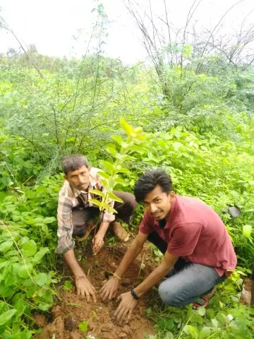 Tree Plantation 2019 – Indore