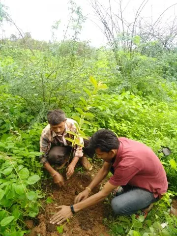 Tree Plantation 2019 – Indore