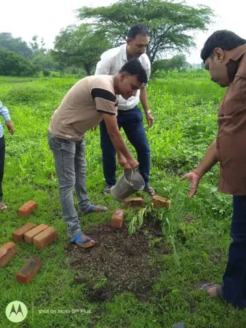 Tree Plantation 2019 – Indore