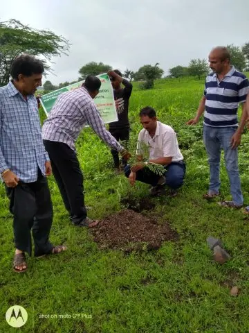 Tree Plantation 2019 – Indore