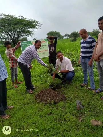 Tree Plantation 2019 – Indore
