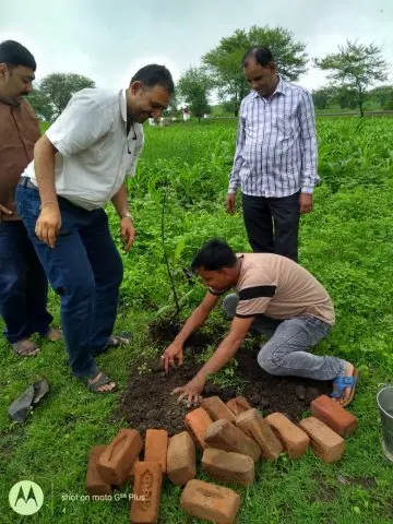 Tree Plantation 2019 – Indore