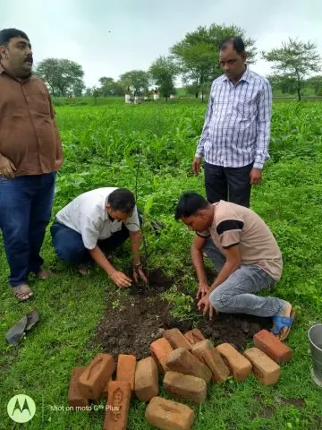 Tree Plantation 2019 – Indore