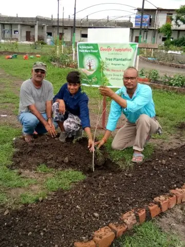 Tree Plantation 2019 – Indore