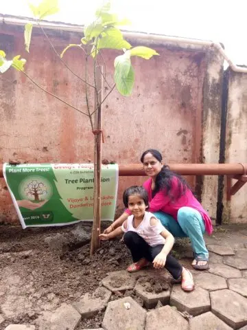 Tree Plantation 2019 – Indore