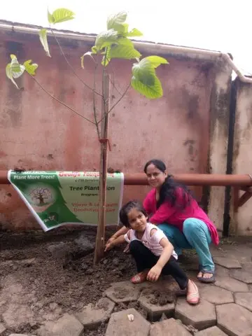 Tree Plantation 2019 – Indore