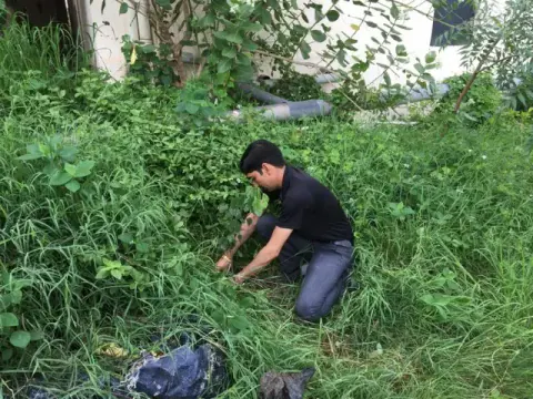 Tree Plantation 2019 – Indore