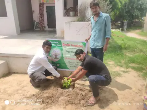 Tree Plantation 2019 – Jaipur