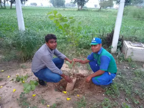 Tree Plantation 2019 – Jaipur