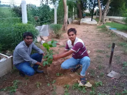 Tree Plantation 2019 – Jaipur