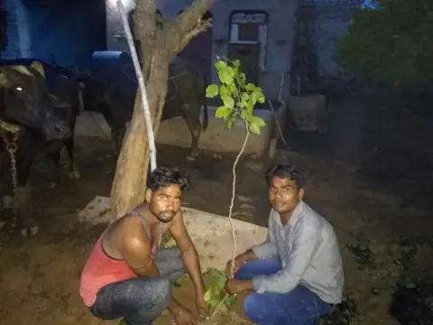 Tree Plantation 2019 – Jaipur