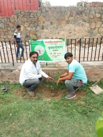 Tree Plantation 2019 – Karnal