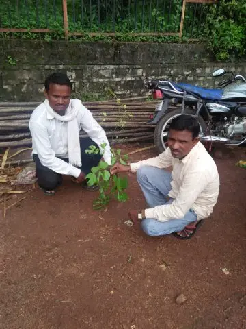 Tree Plantation 2019 – Kawardha