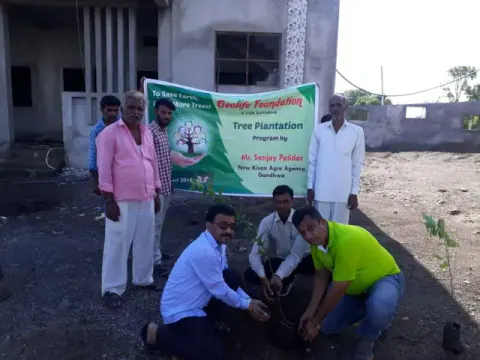 Tree Plantation 2019 – Khandwa