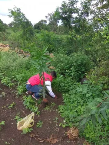 Tree Plantation 2019 – Latur