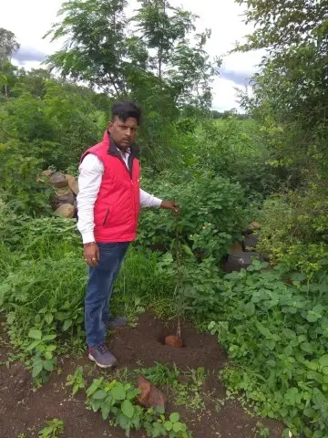 Tree Plantation 2019 – Latur