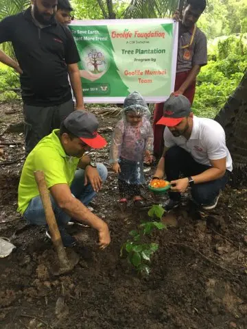 Tree Plantation 2019 – Mumbai – Head Office