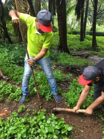 Tree Plantation 2019 – Mumbai – Head Office