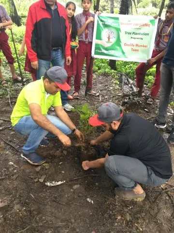 Tree Plantation 2019 – Mumbai – Head Office