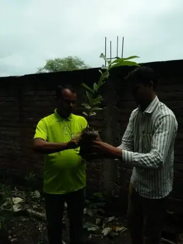 Tree Plantation 2019 – Mungeli
