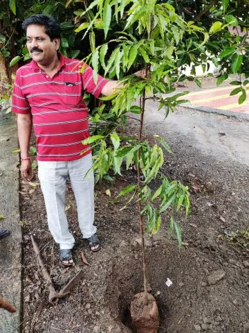 Tree Plantation 2019 – Narayangaon - Pune