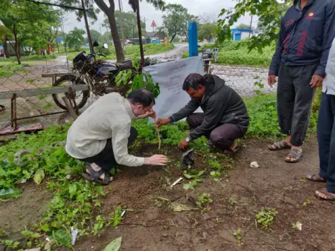 Tree Plantation 2019 – Nashik