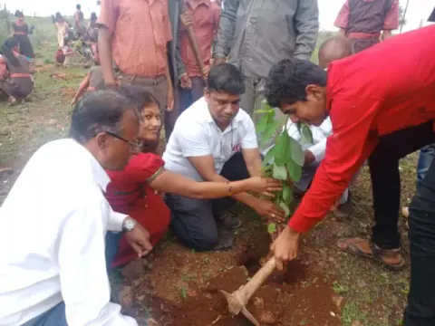 Tree Plantation 2019 – Nashik