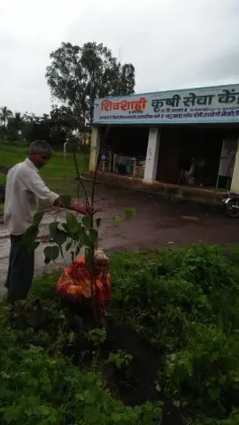 Tree Plantation 2019 – Parbhani
