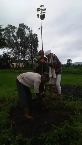 Tree Plantation 2019 – Parbhani