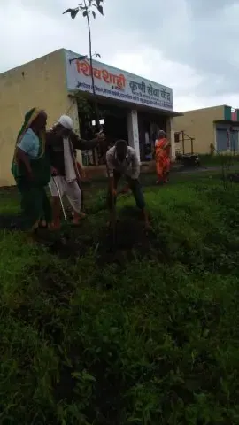 Tree Plantation 2019 – Parbhani