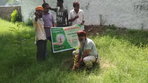 Tree Plantation 2019 – Punjab
