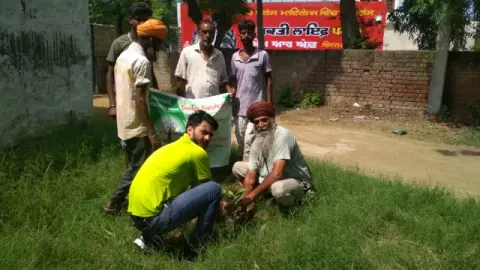 Tree Plantation 2019 – Punjab
