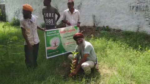 Tree Plantation 2019 – Punjab
