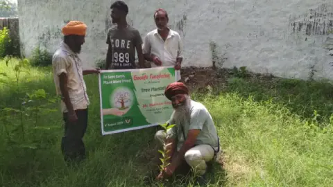 Tree Plantation 2019 – Punjab