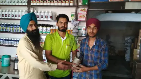 Tree Plantation 2019 – Punjab