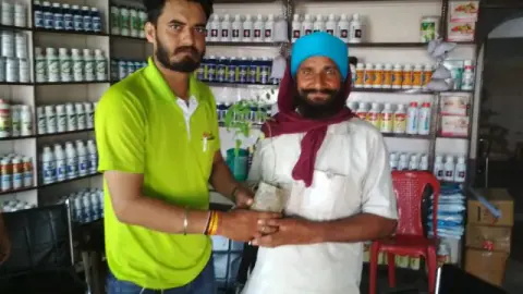 Tree Plantation 2019 – Punjab